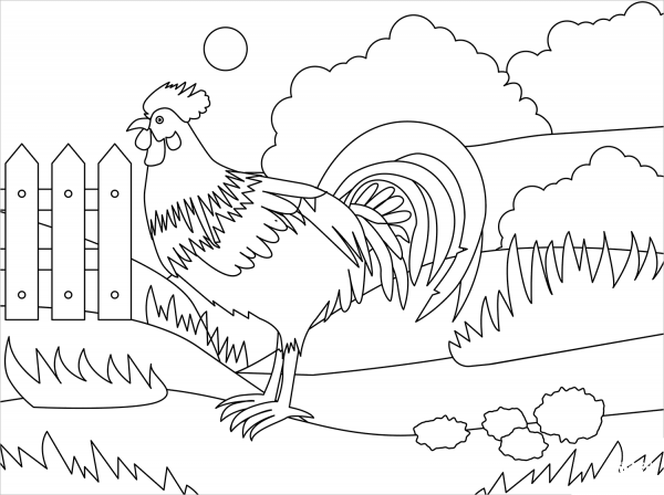 Rooster coloring page image
