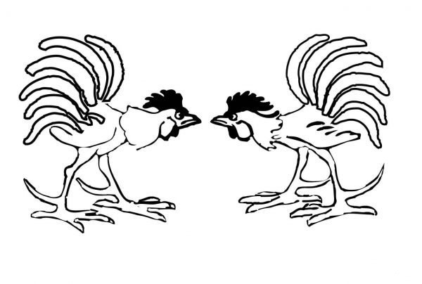 Rooster Fight  coloring page image