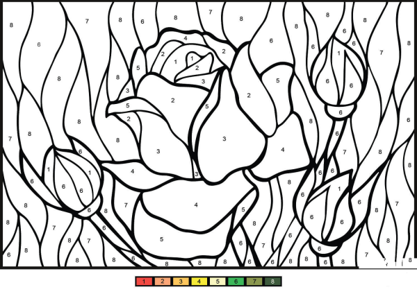 Rose Color by Number image