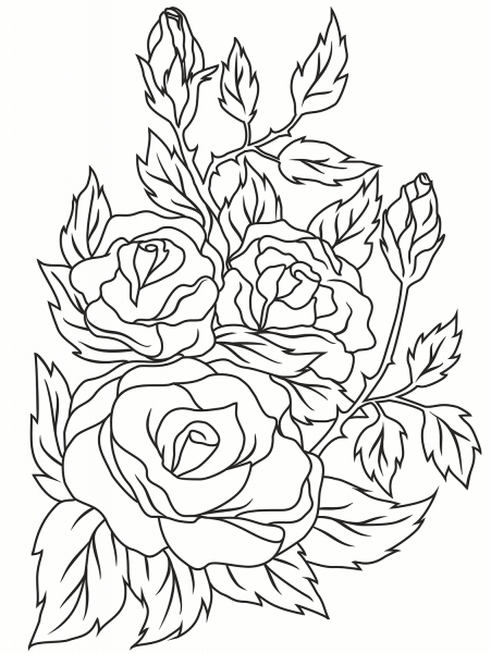 Rose coloring page image