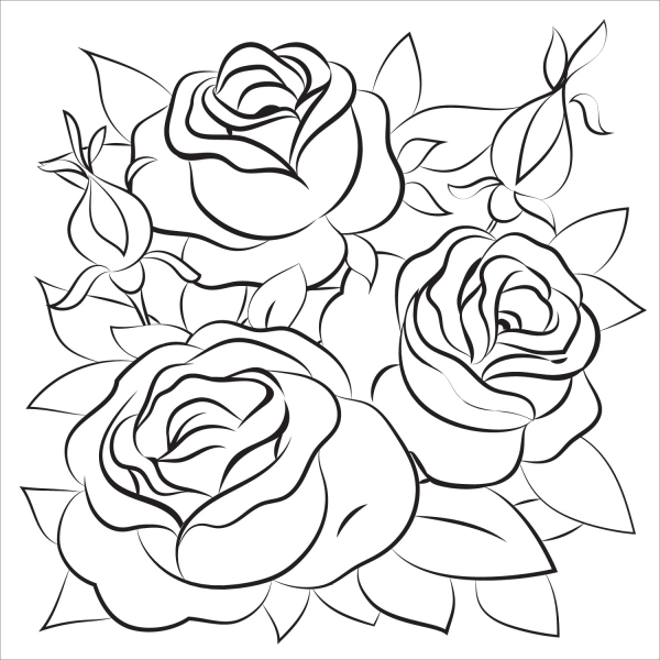Rose coloring page image