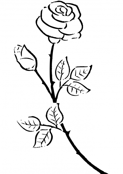 Rose coloring page image