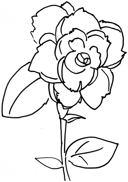 Rose Flower  coloring page image