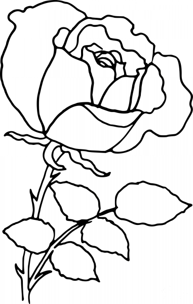 Rose Outline coloring page image
