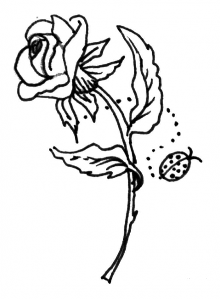 Rose with a ladybird coloring page image