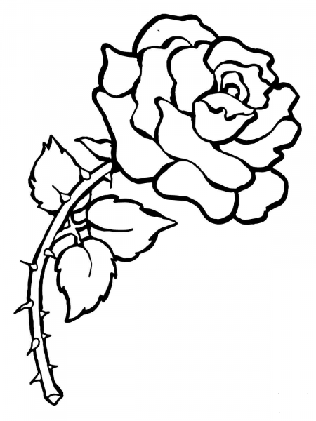Rose with Thorns coloring page image