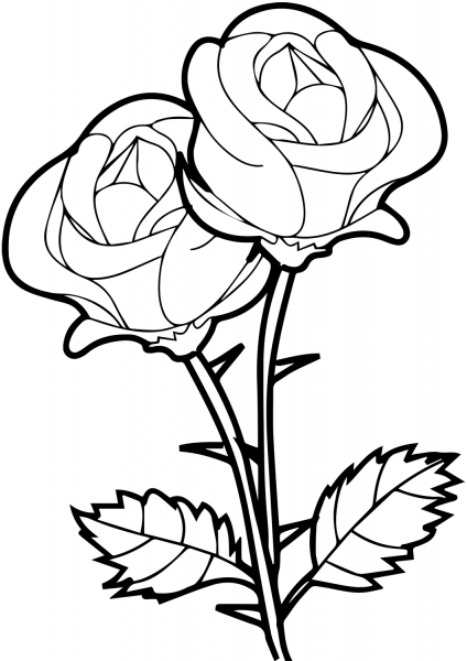 Roses coloring page image