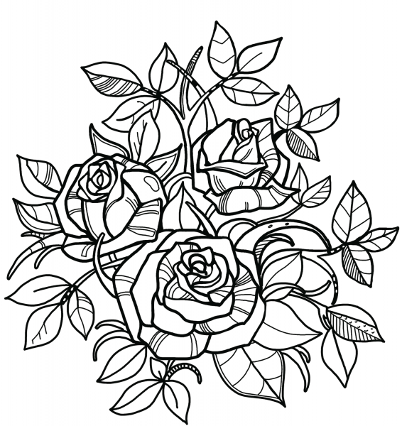 Roses coloring page image