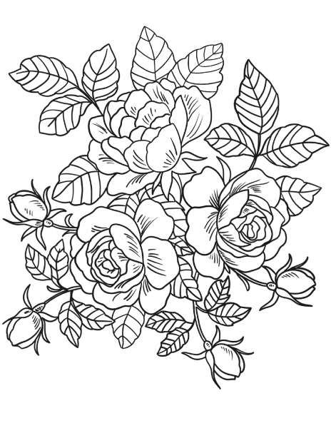 Roses Flowers coloring page image