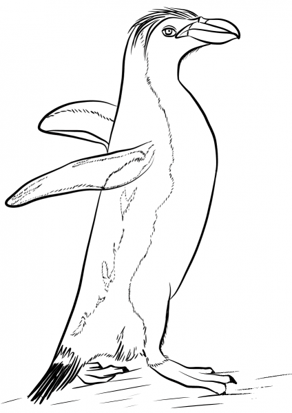 Royal Penguin coloring page image