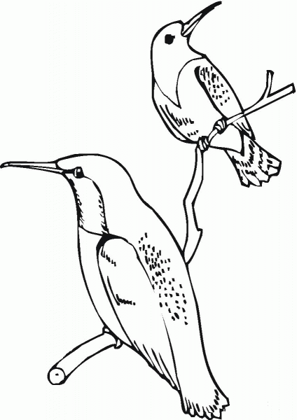 Ruby Throated Hummingbirds coloring page image