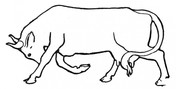 Running Cow coloring page image