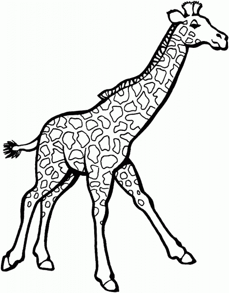 Running Giraffe coloring page image