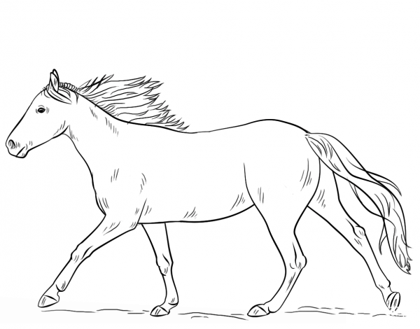 Running Horse coloring page image