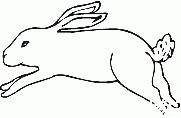 Running Jack Rabbit coloring page image
