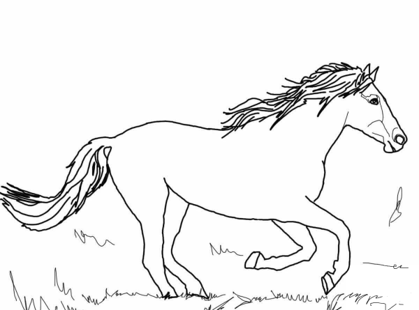 Running Mustang coloring page image