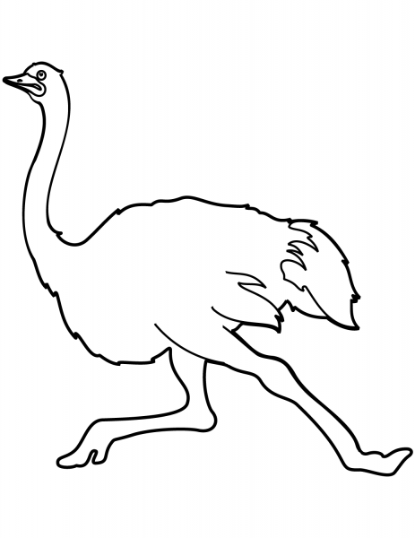 Running Ostrich coloring page image