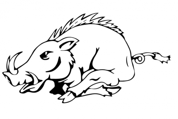 Running Razorback coloring page image
