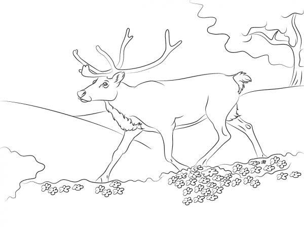 Running Reindeer coloring page image