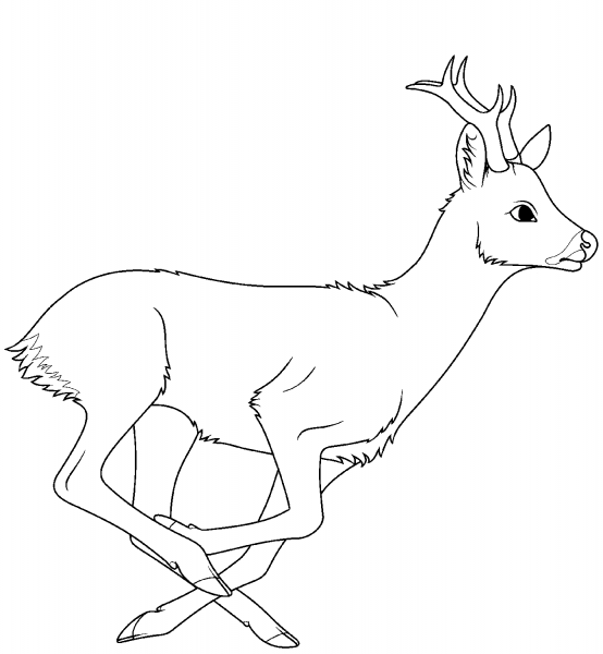 Running Roe Deer coloring page image