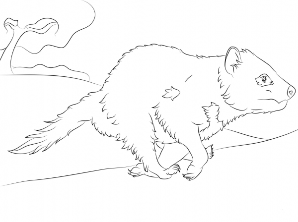 Running Tasmanian Devil coloring page image