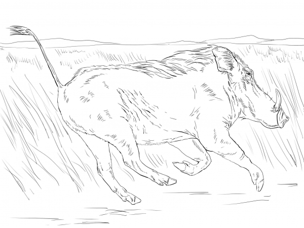 Running Warthog coloring page image
