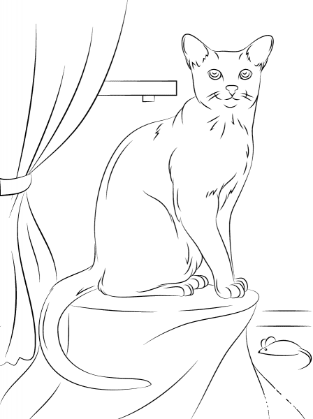 Russian Blue Cat coloring page image