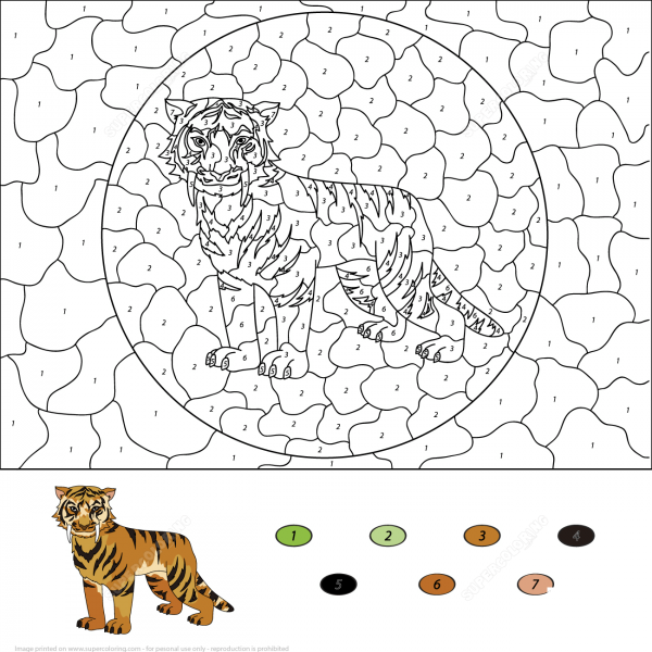 Saber Toothed Tiger Color by Number image