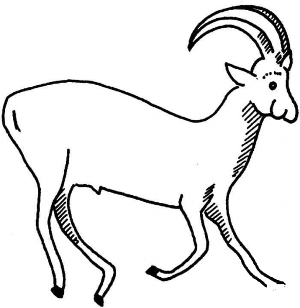 Sable Antelope coloring page image