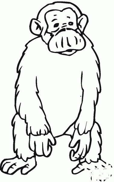 Sad Chimpanzee  coloring page image