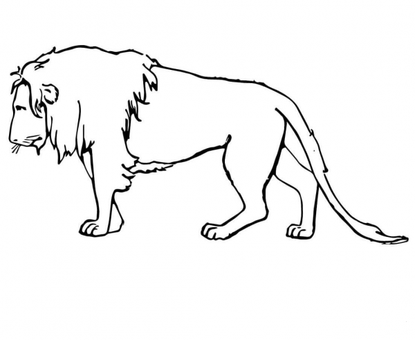 Sad Lion coloring page image
