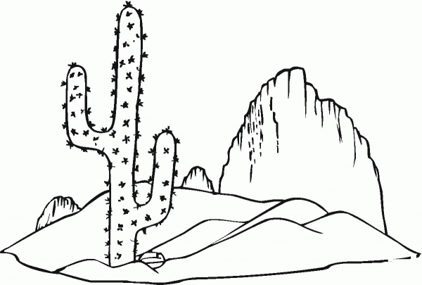 Saguaro cactus coloring page image