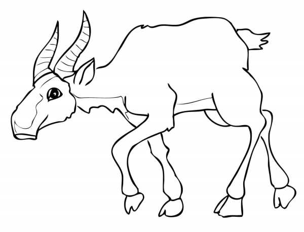 Saiga coloring page image