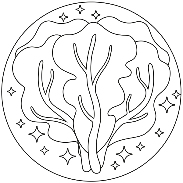 Salad coloring page image