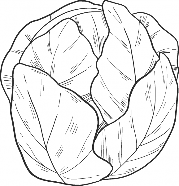 Salad coloring page image