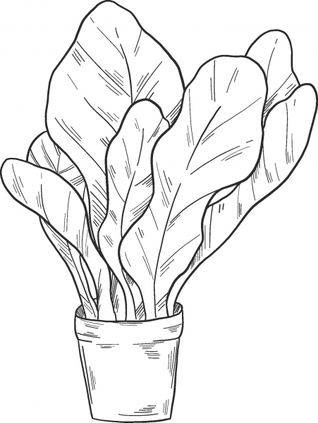 Salad  coloring page image
