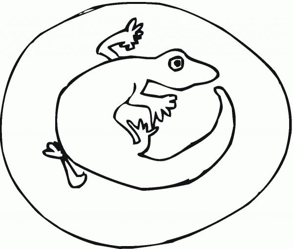 Salamander 1 coloring page image