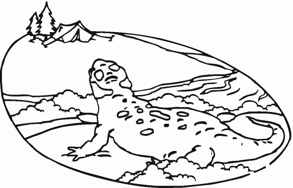 Salamander 2 coloring page image