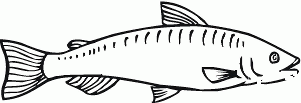 Salmon 10 coloring page image