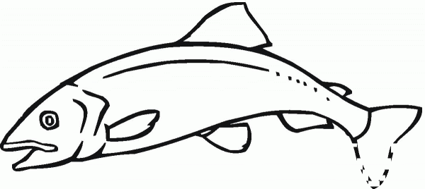 Salmon 11 coloring page image