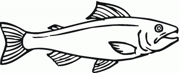 Salmon 12 coloring page image