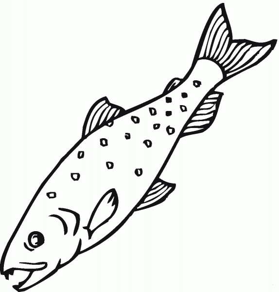 Salmon 13 coloring page image