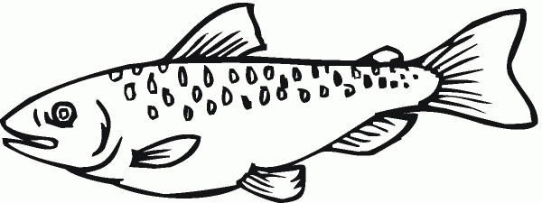 Salmon 18 coloring page image