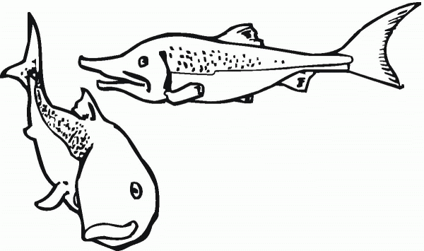 Salmon 6 coloring page image