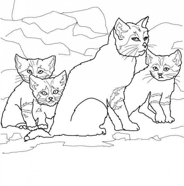 Sand Cat Kittens with Mother coloring page image