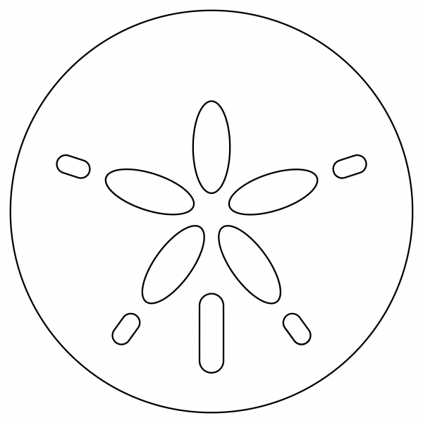 Sand Dollar coloring page image