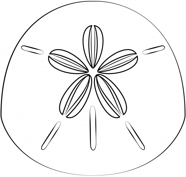 Sand Dollar coloring page image