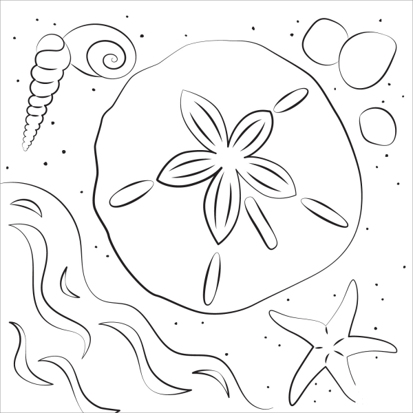 Sand Dollar coloring page image