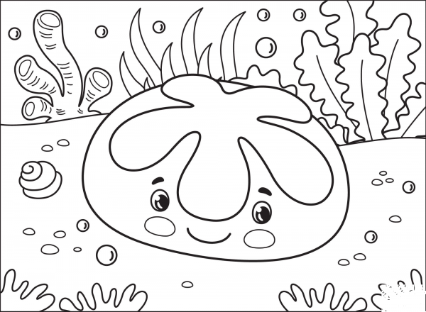 Sanddollar coloring page image