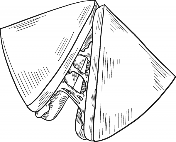 Sandwich coloring page image